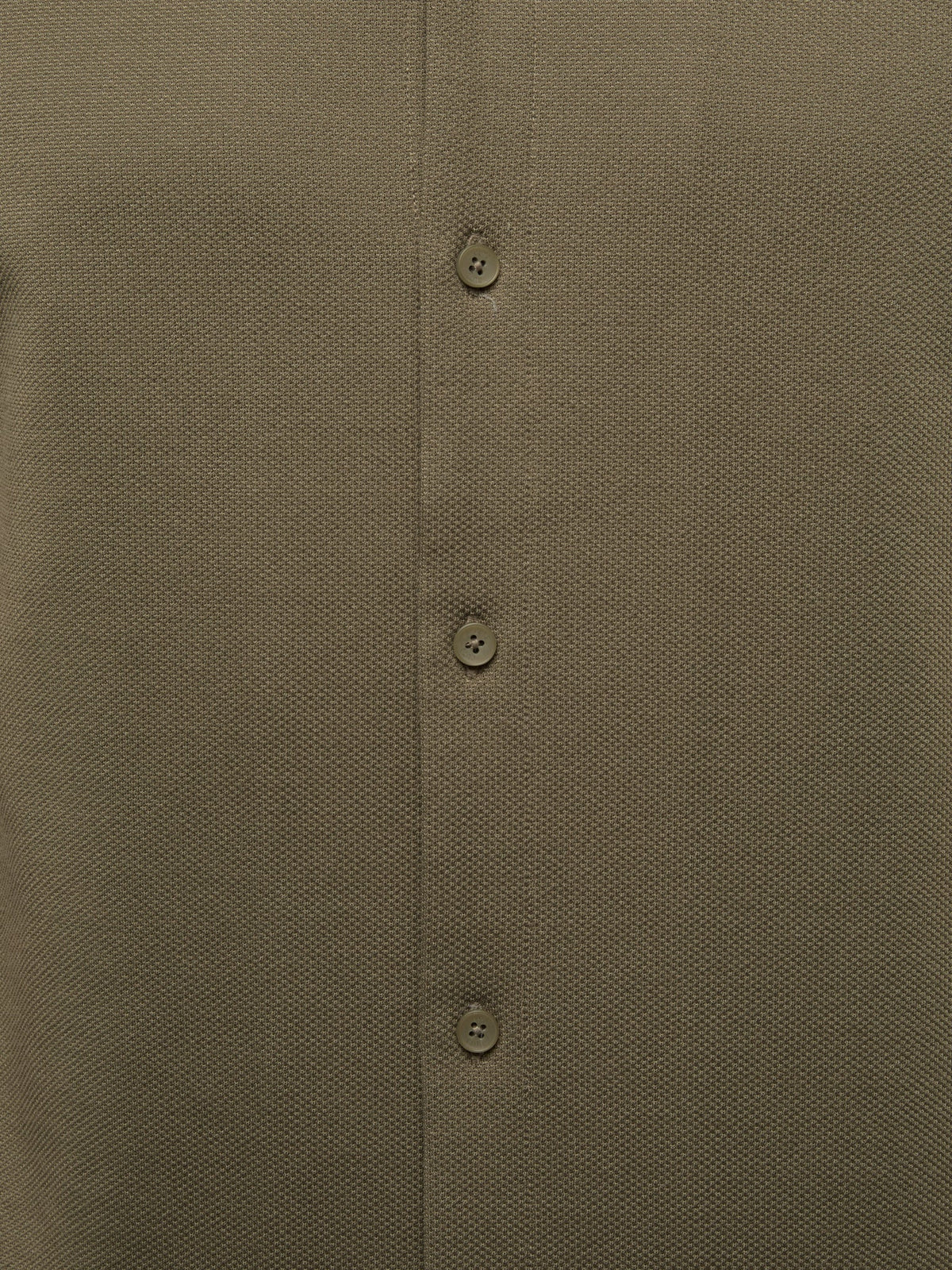 Elevate Pique Button Up | Bay Leaf Classic-fit