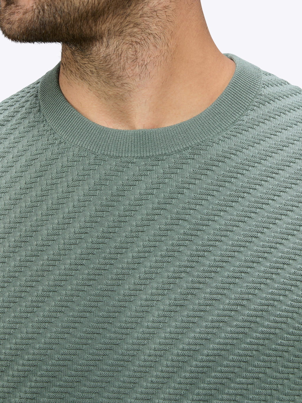 Riviera Knit Textured Tee | Basil Signature-Fit
